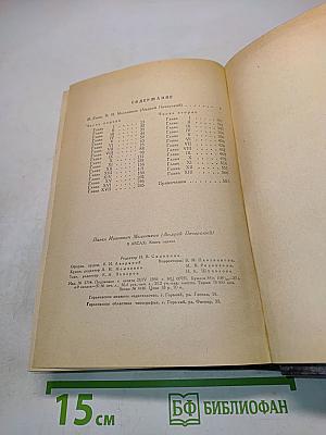 В лесах. В двух книгах. Книга первая