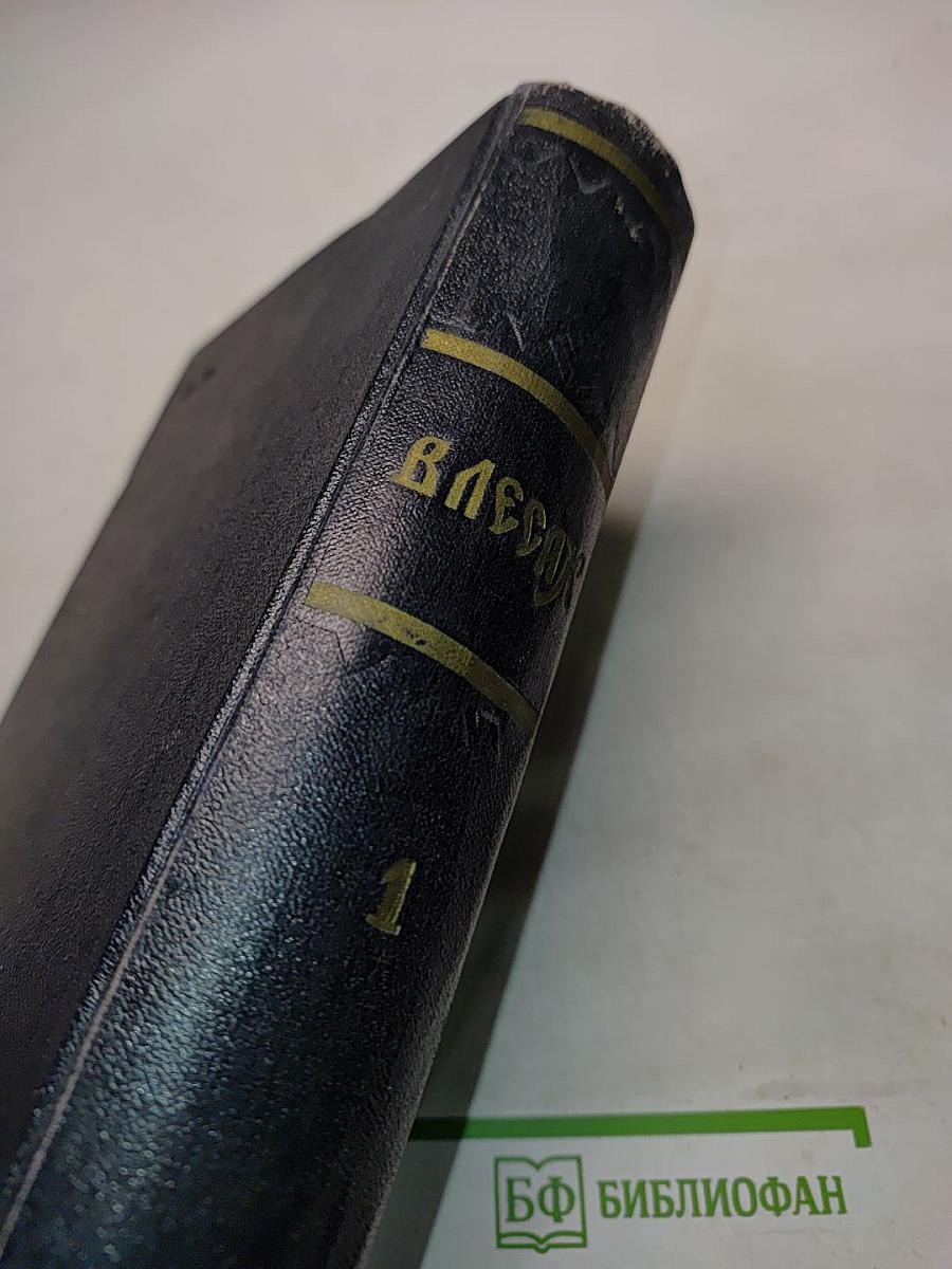 В лесах. В двух книгах. Книга первая
