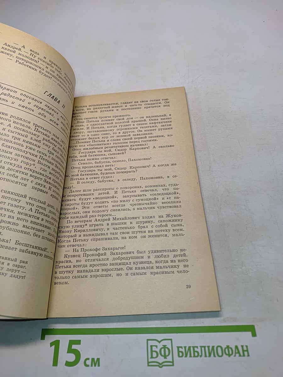 Петька из вдовьего дома