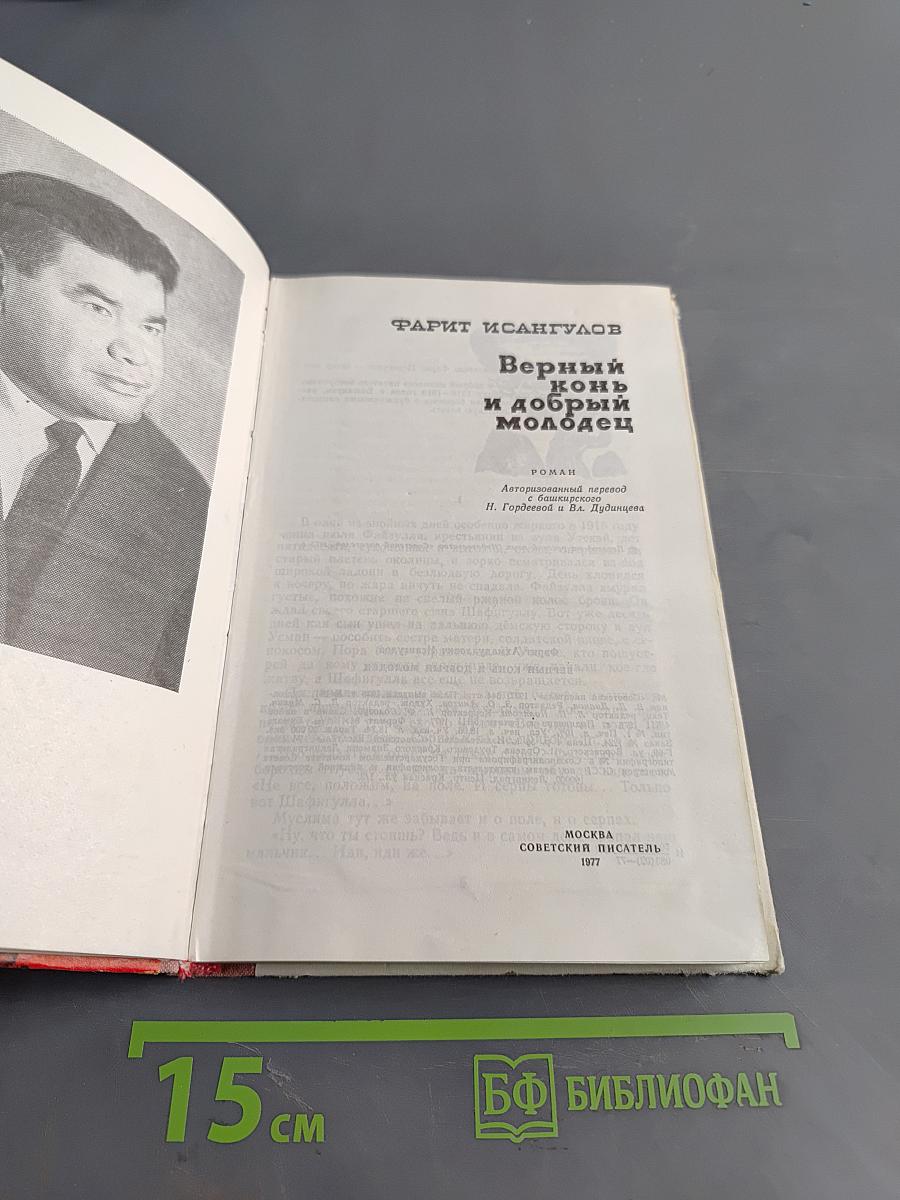Верный конь и добрый молодец