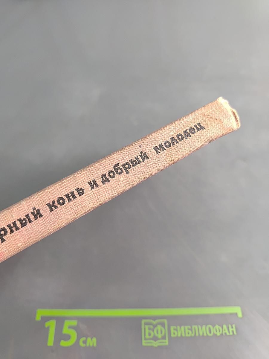 Верный конь и добрый молодец
