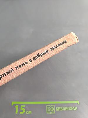 Верный конь и добрый молодец