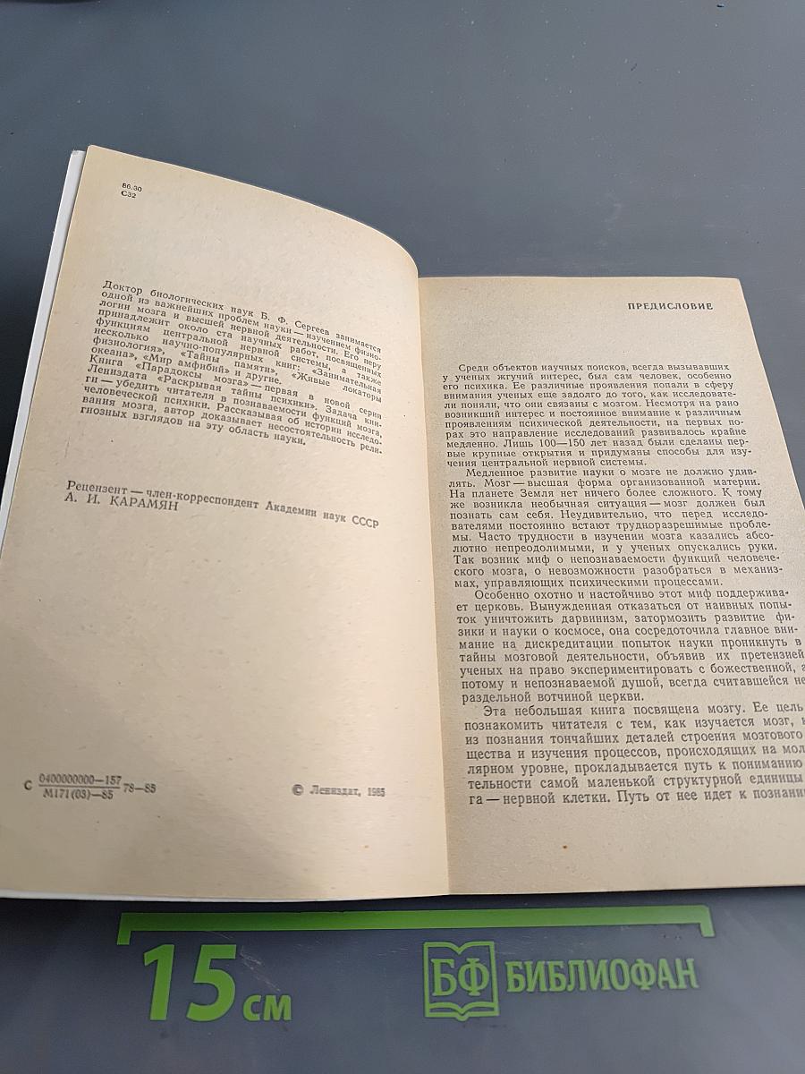 Парадоксы мозга
