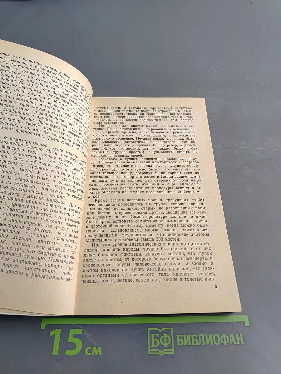 Парадоксы мозга