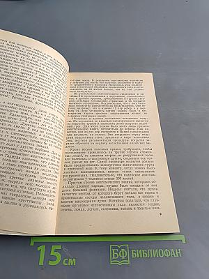 Парадоксы мозга