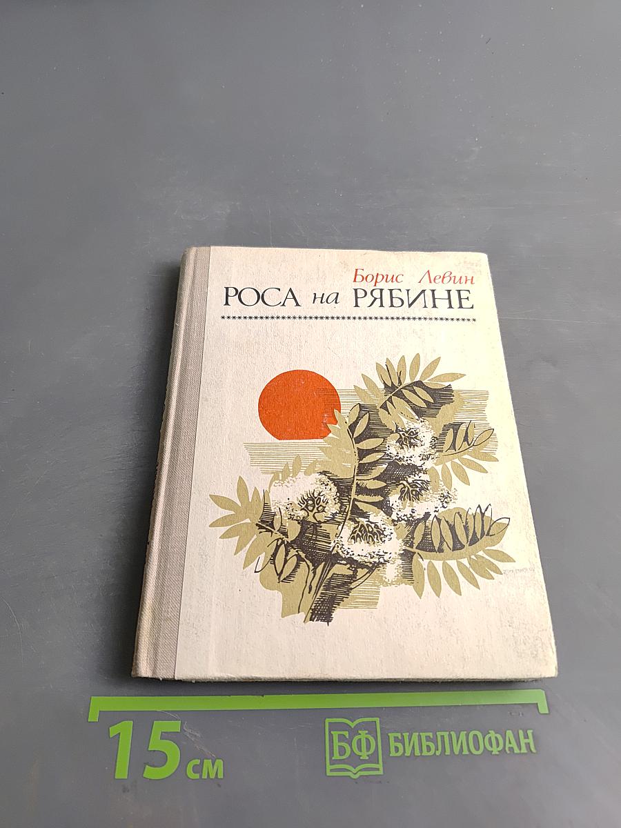 Роса на рябине