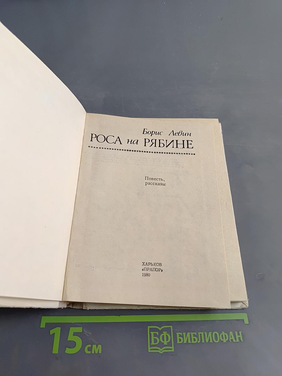 Роса на рябине