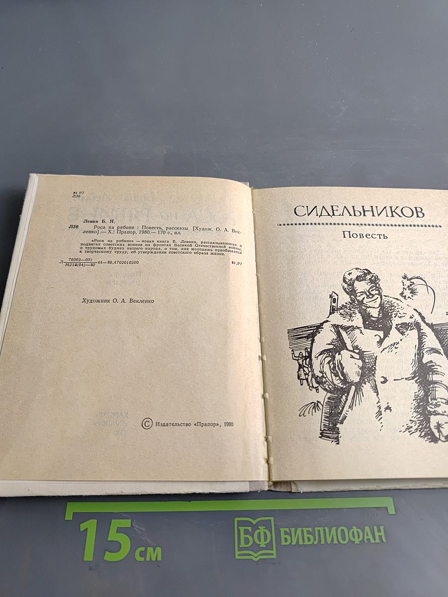 Роса на рябине
