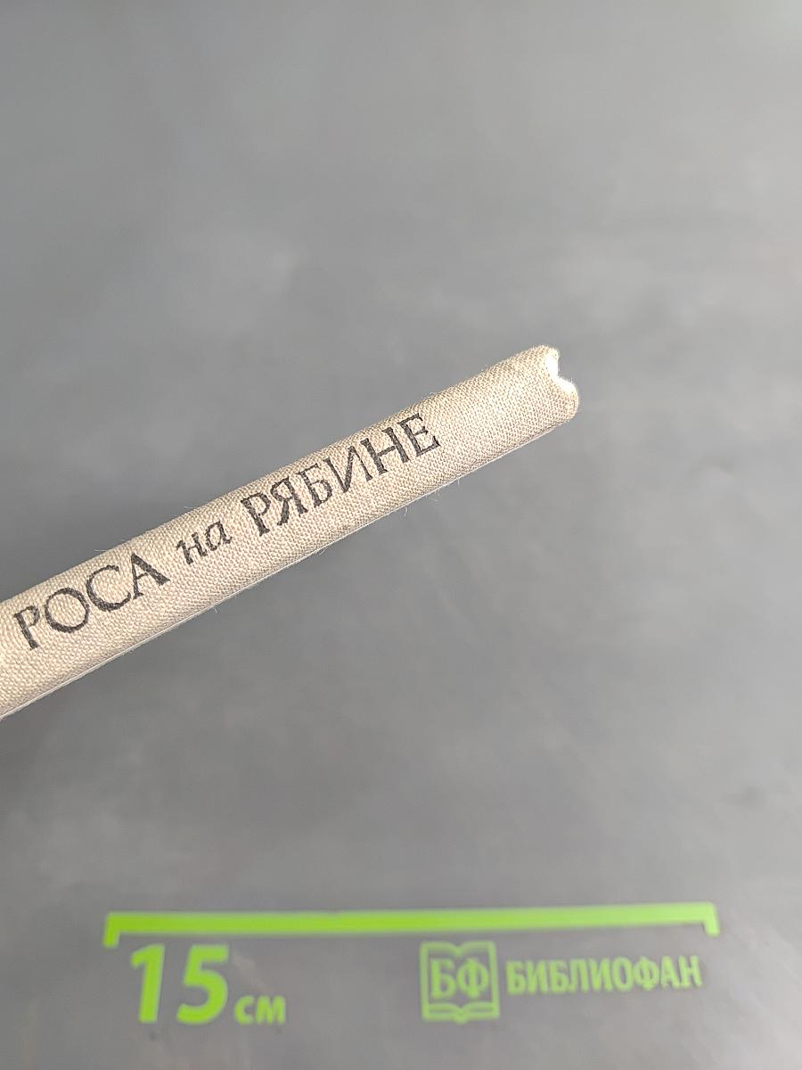 Роса на рябине