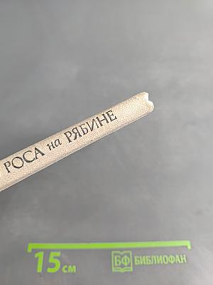 Роса на рябине