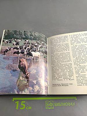 Звенигород. Историко-культурные памятники Звенигородского края. Путеводитель