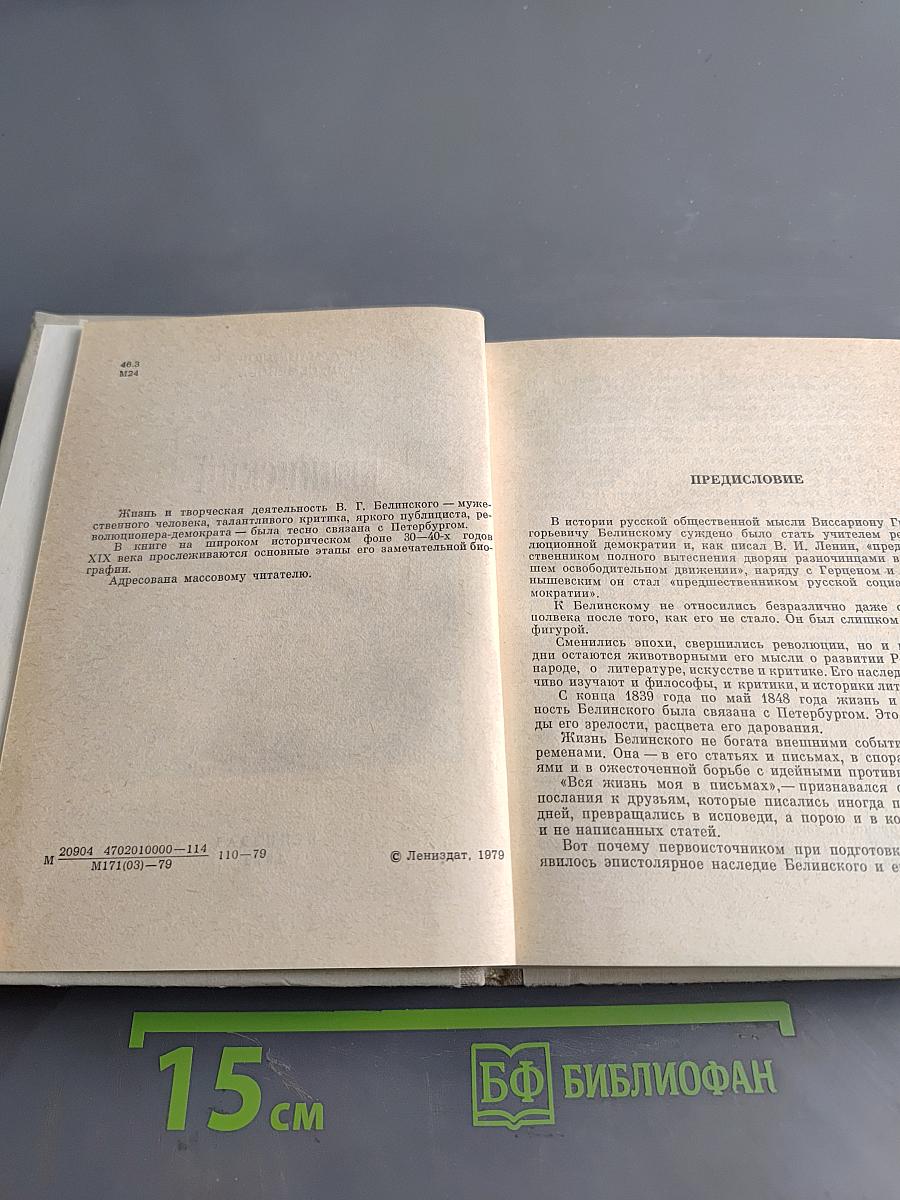Белинский в Петербурге