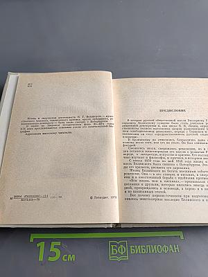 Белинский в Петербурге