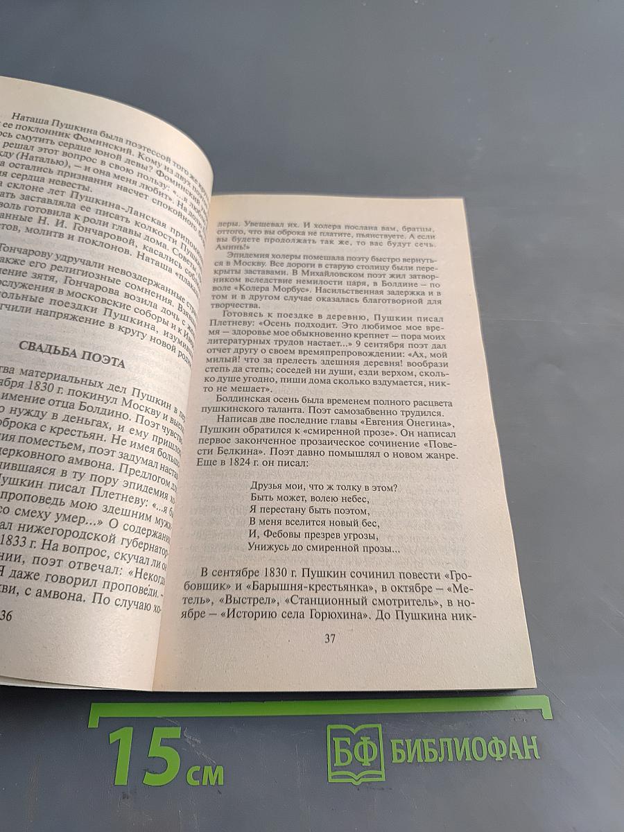 Пушкин. Тайна гибели
