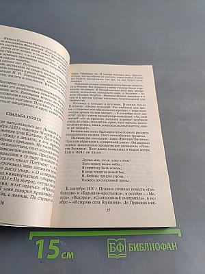 Пушкин. Тайна гибели
