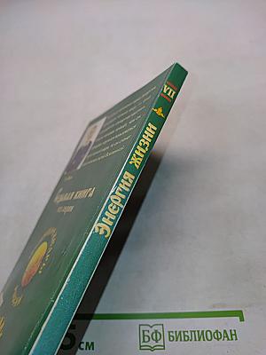 Энергия жизни. Книга седьмая