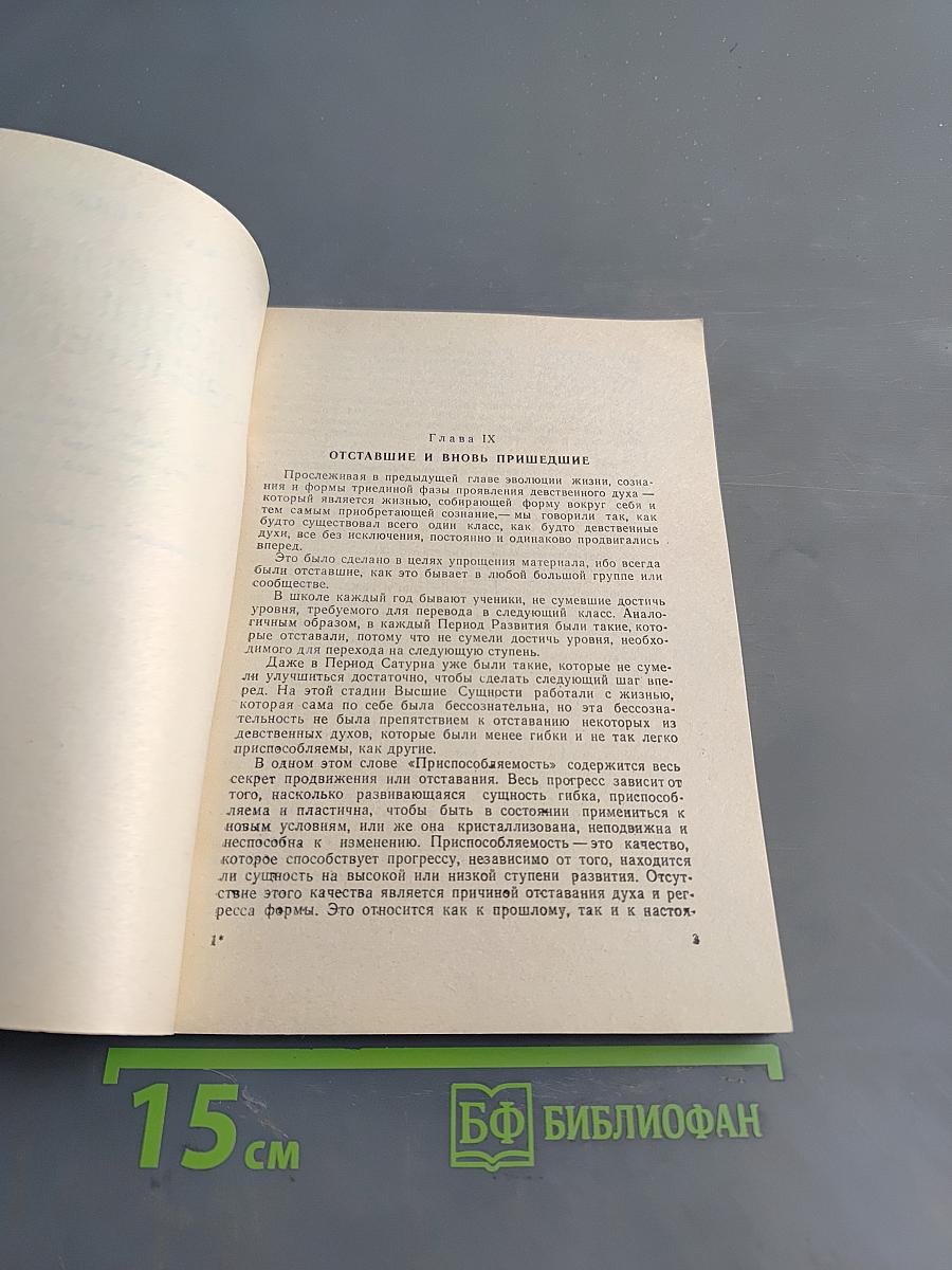 Космогоническая концепция розенкрейцеров. Книга вторая