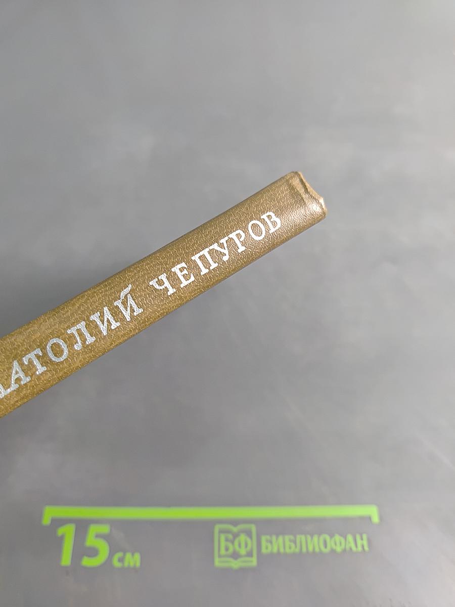 Анатолий Чепуров