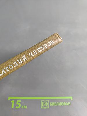 Анатолий Чепуров