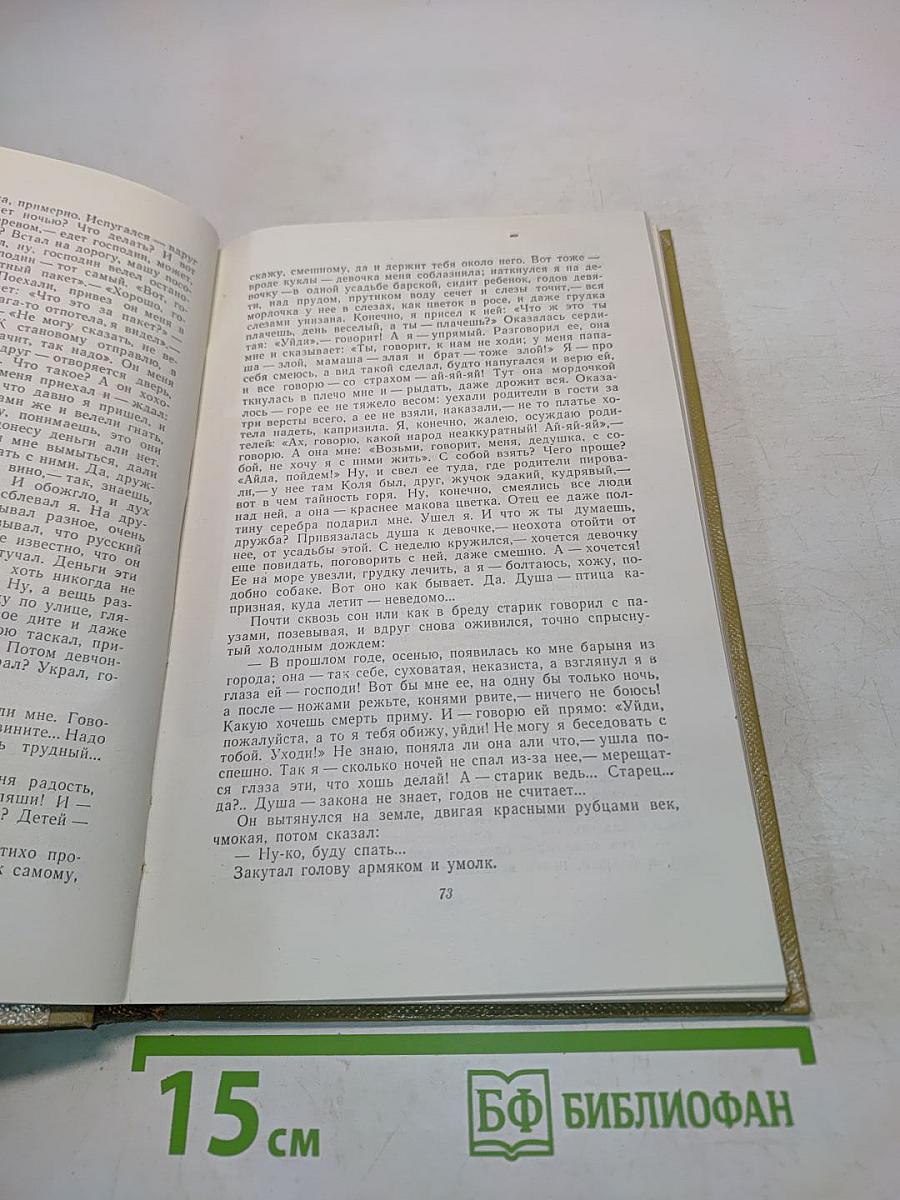 Собрание сочинений. Том 10. Произведения 1923-1925