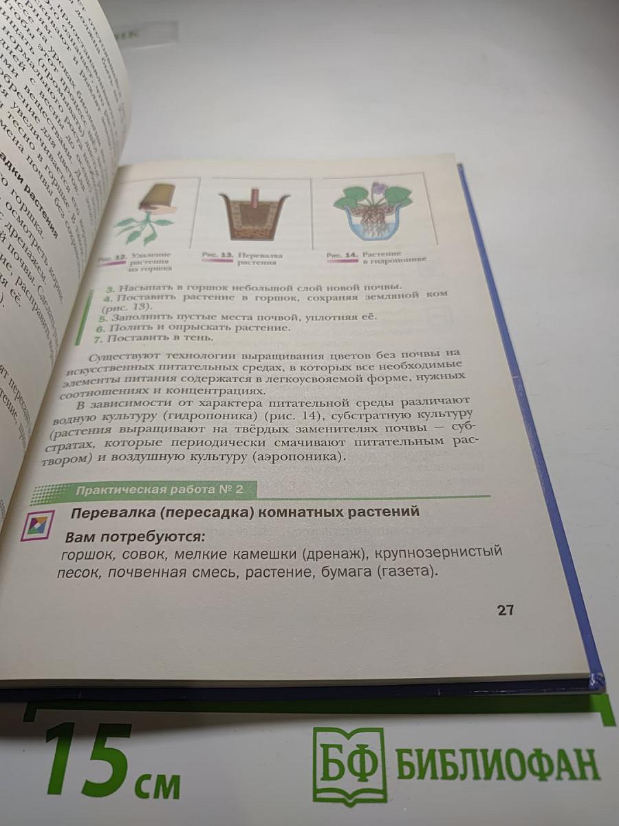 Технология. Технологии ведения дома. 6 класс