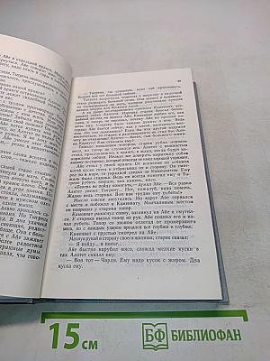 Алитет уходит в горы