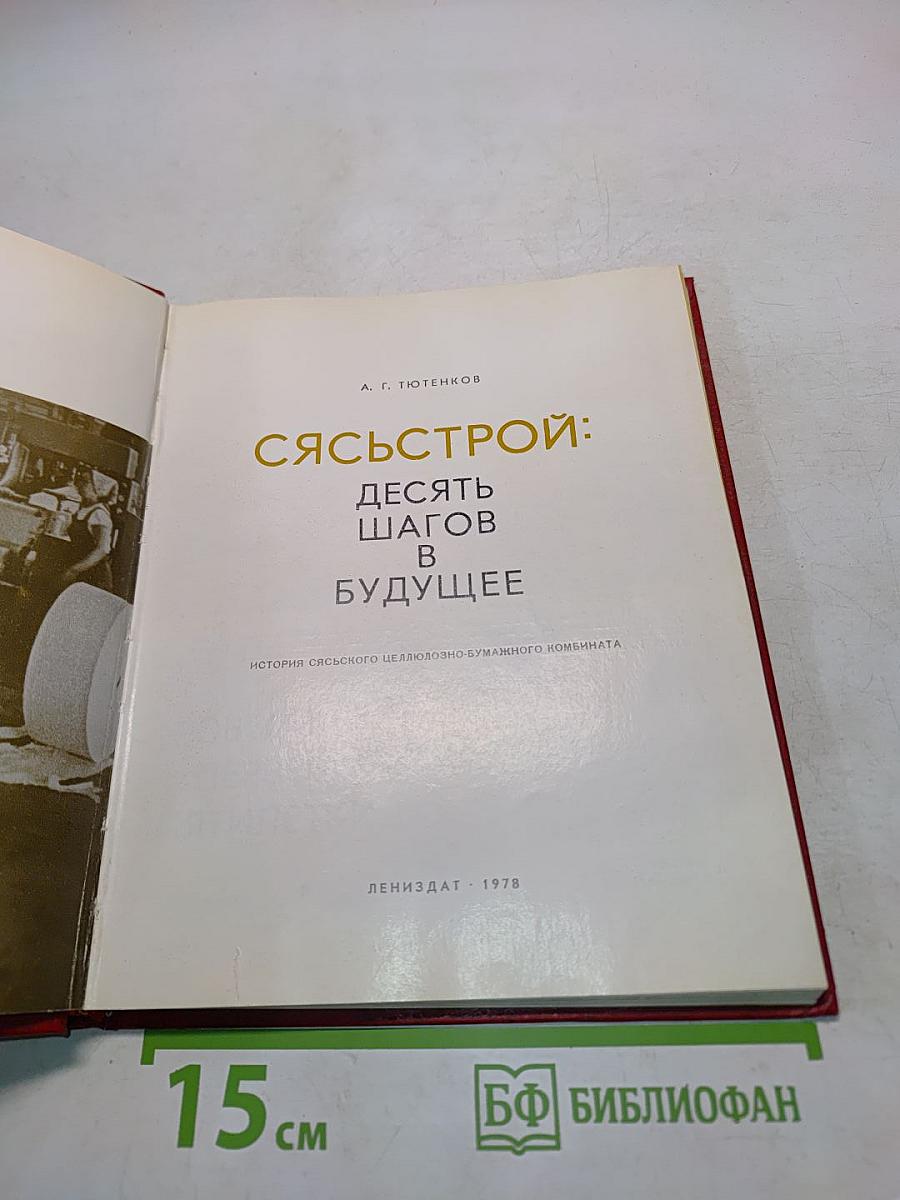 Сясьстрой: десять шагов в будущее
