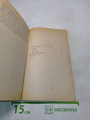 Повести покойного Ивана Петровича Белкина. Дубровский. Капитанская дочка