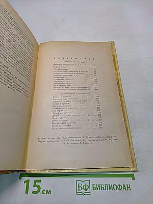 Шмели и Термиты