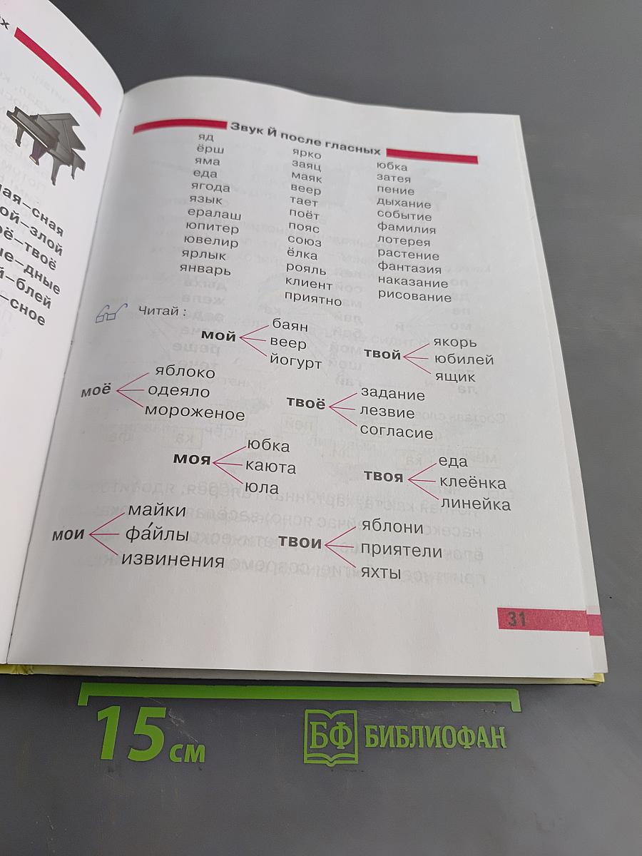 Произношение. Мир звуков. Учебник для специальных (коррекционных) школ V вида. 2 класс
