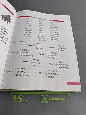 Произношение. Мир звуков. Учебник для специальных (коррекционных) школ V вида. 2 класс