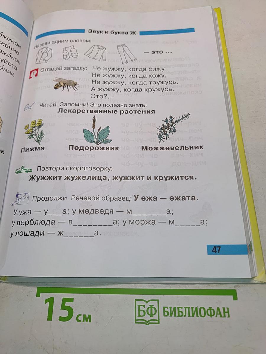 Произношение. Мир звуков. Учебник для специальных (коррекционных) школ V вида. 2 класс
