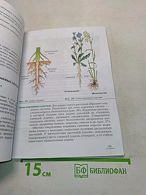 Биология. Покрытосеменные растения: строение и жизнедеятельность. Учебник для 6 класса