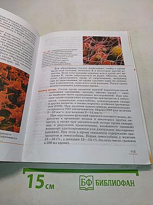 Биология. Человек. 9 класс