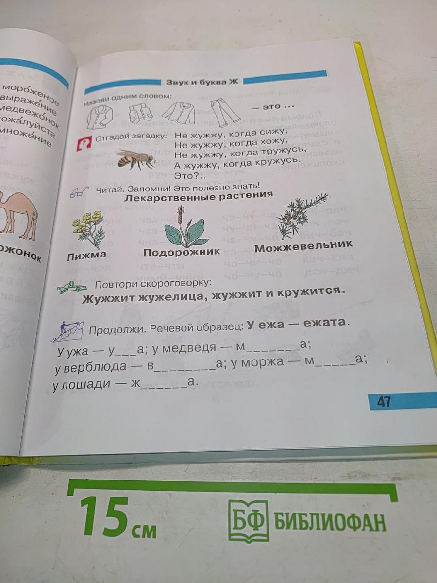 Произношение. Мир звуков. Учебник для специальных (коррекционных) школ V вида. 2 класс