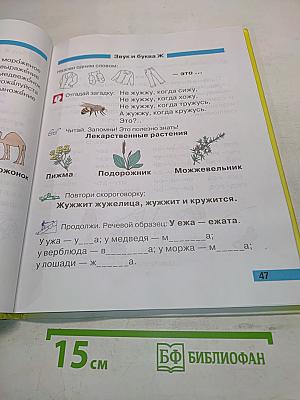 Произношение. Мир звуков. Учебник для специальных (коррекционных) школ V вида. 2 класс