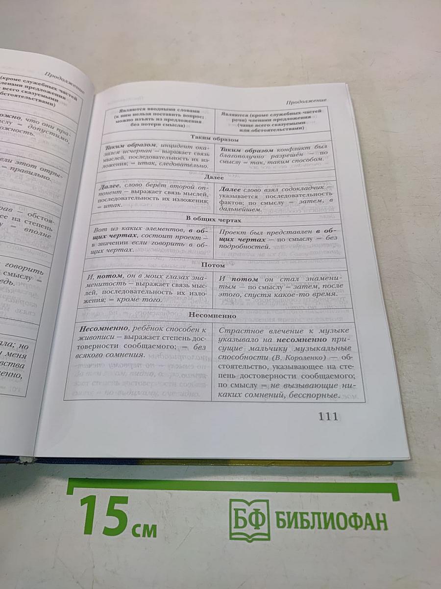 Русский язык. 11 класс