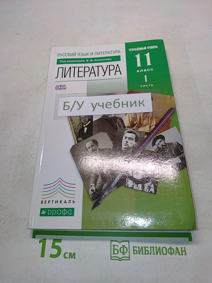 Литература 11 класс Часть 1