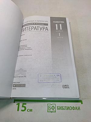 Литература 11 класс Часть 1