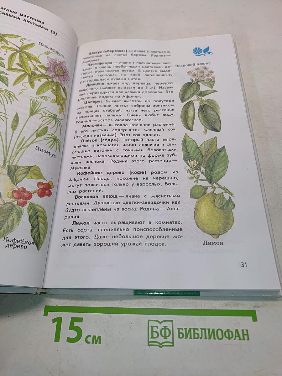 От Земли до неба. Атлас-определитель для учащихся начальных классов