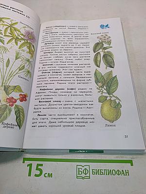От Земли до неба. Атлас-определитель для учащихся начальных классов