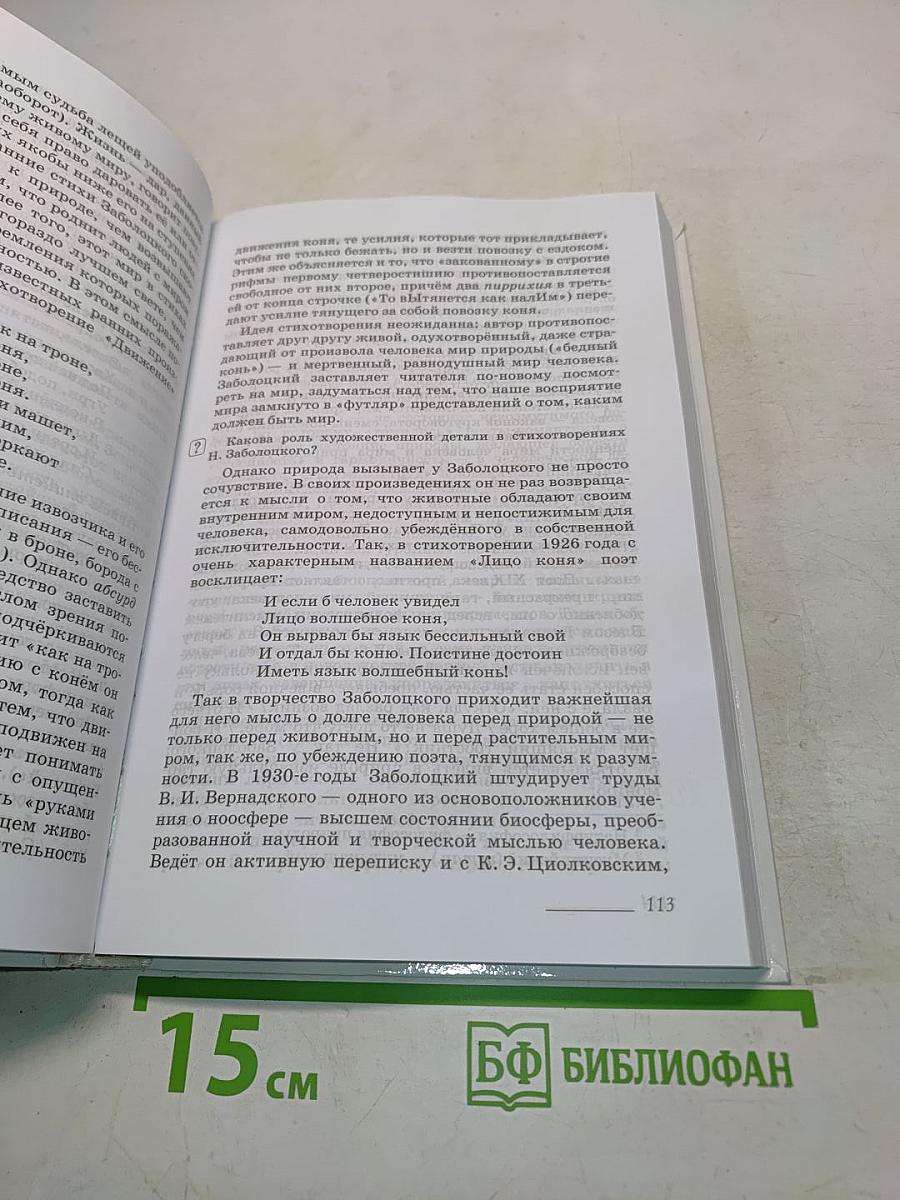 Литература. 11 класс. Углубленный уровень. Часть 2