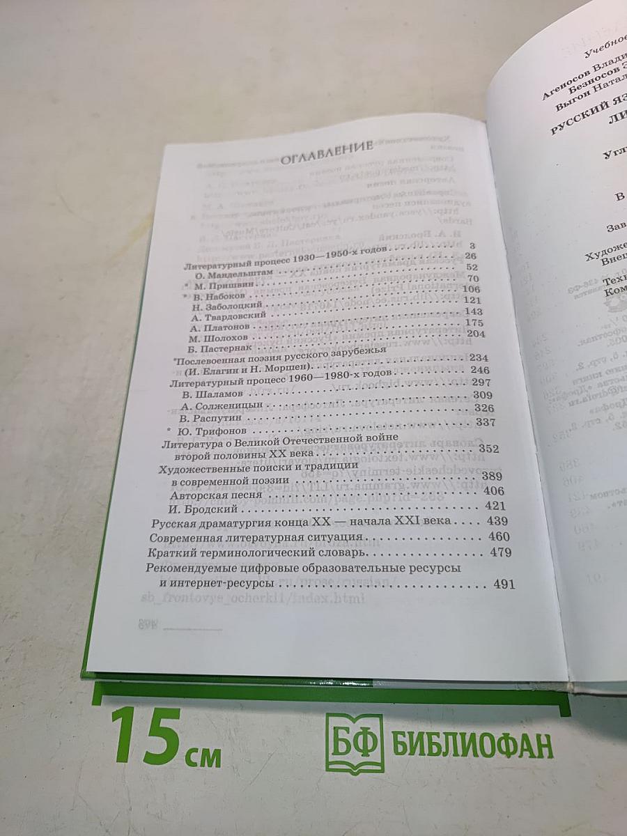 Литература. 11 класс. Углубленный уровень. Часть 2