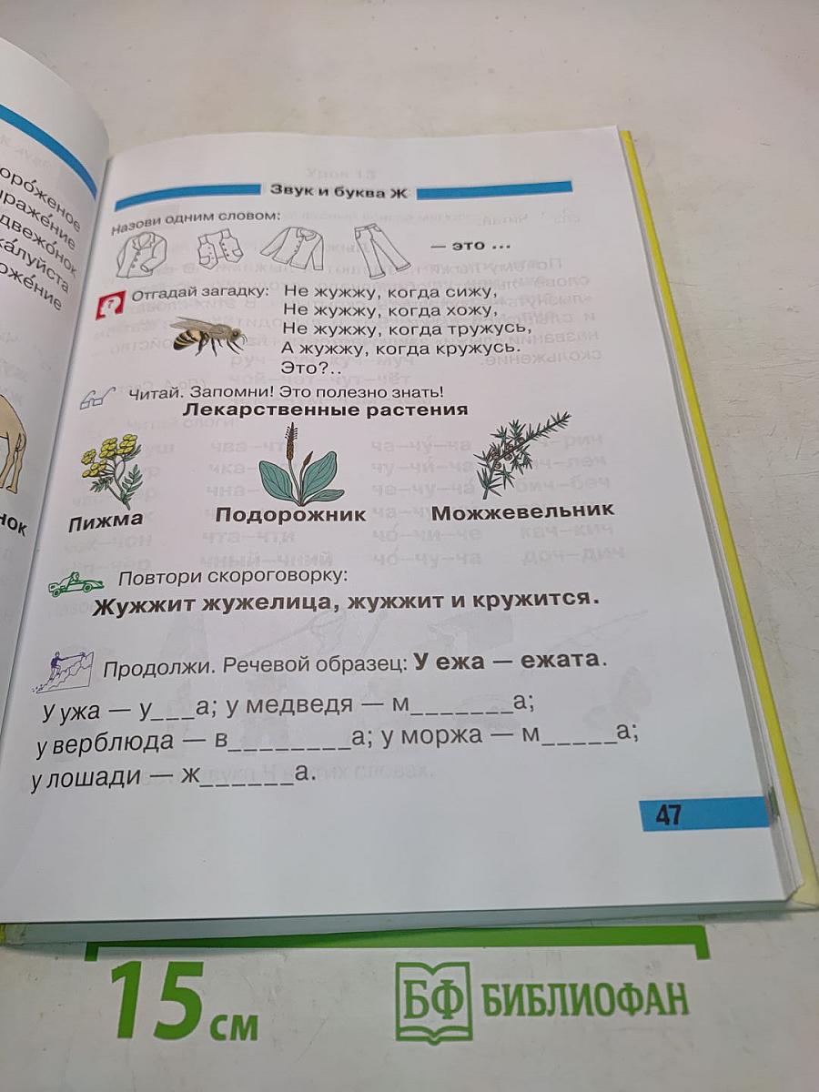 Произношение. Мир звуков. Учебник для специальных (коррекционных) школ V вида. 2 класс