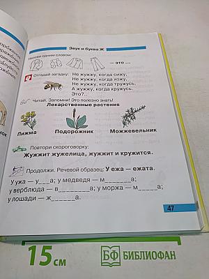 Произношение. Мир звуков. Учебник для специальных (коррекционных) школ V вида. 2 класс