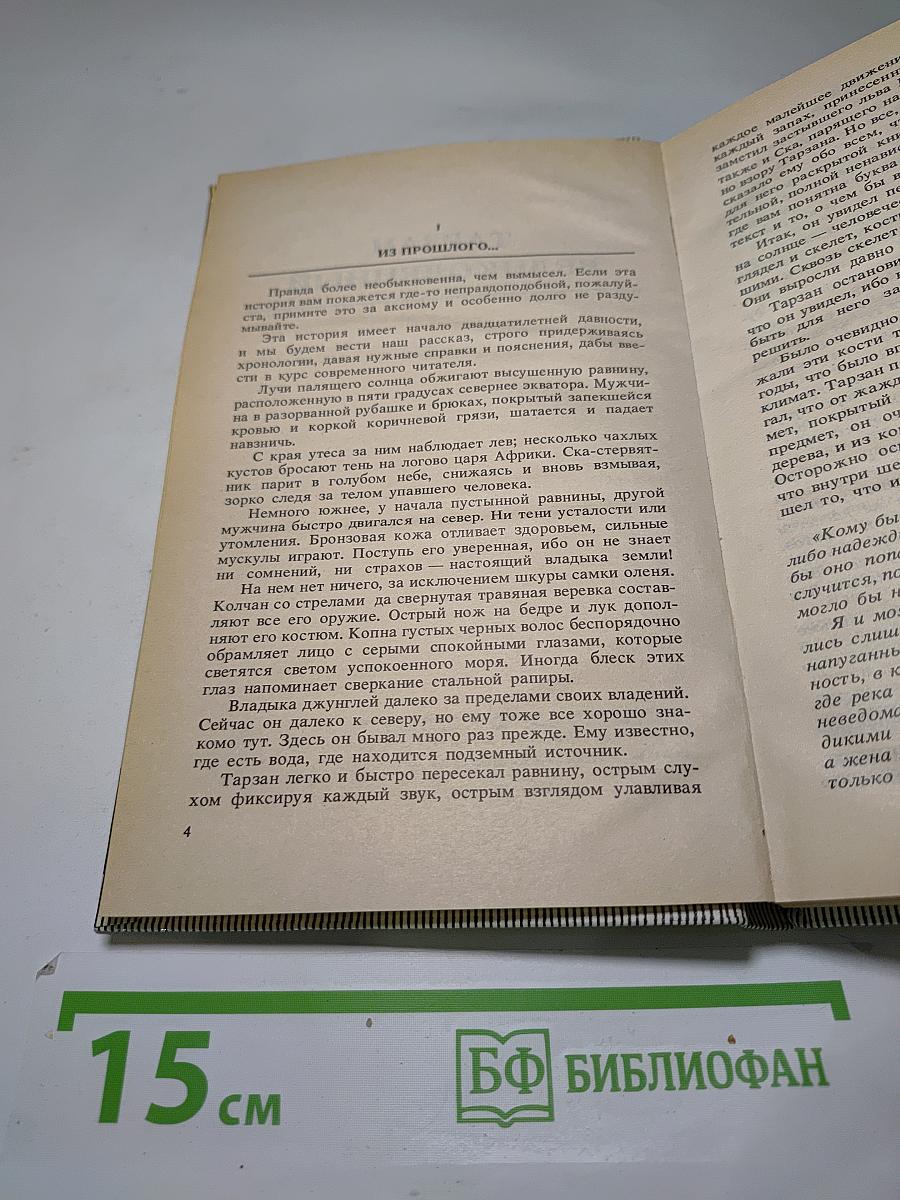 Тарзан Великолепный. Тарзан и Запретный Город