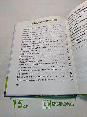 Русский язык. Учебник для 2 класса начальной школы