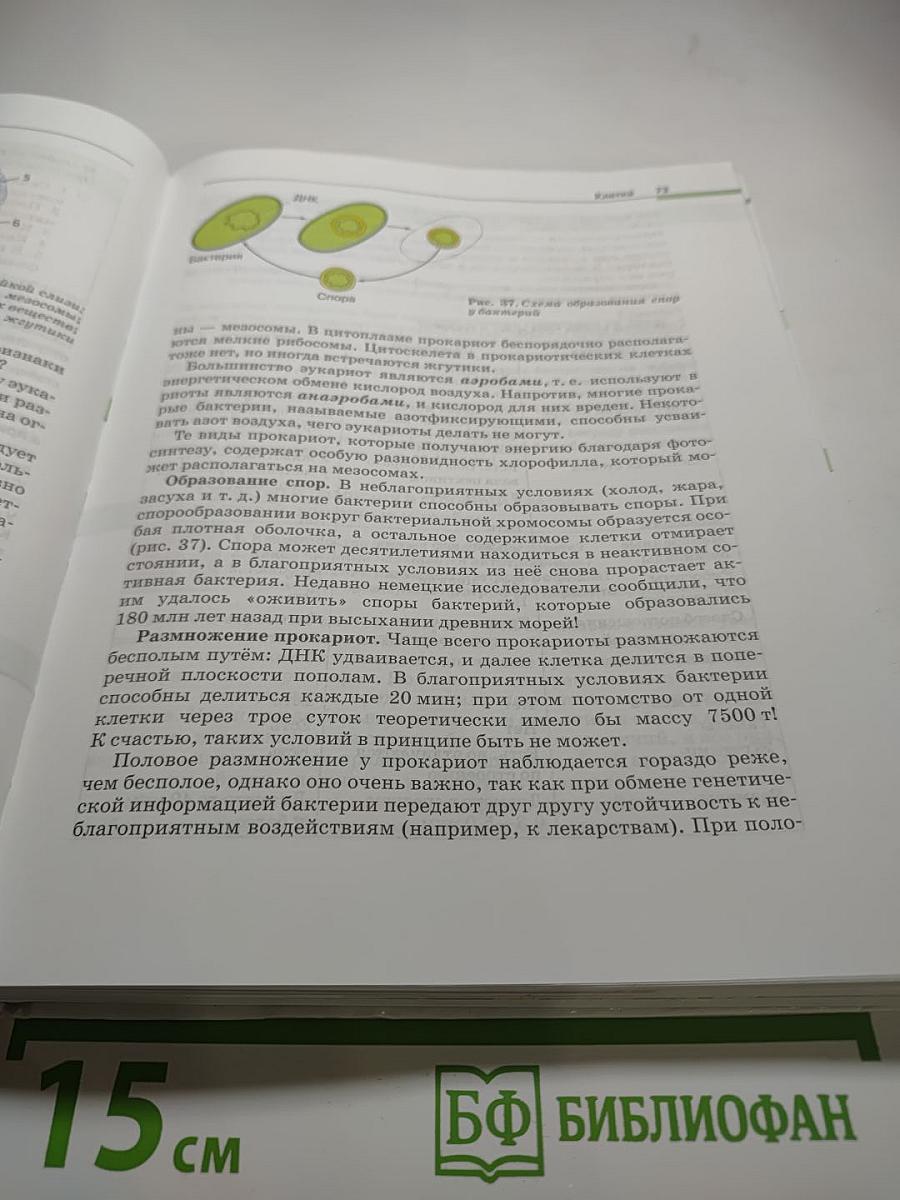 Биология. Общая биология. 10-11 классы. Базовый уровень