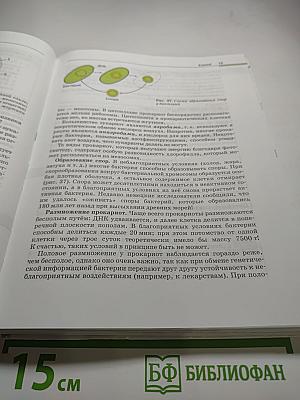 Биология. Общая биология. 10-11 классы. Базовый уровень