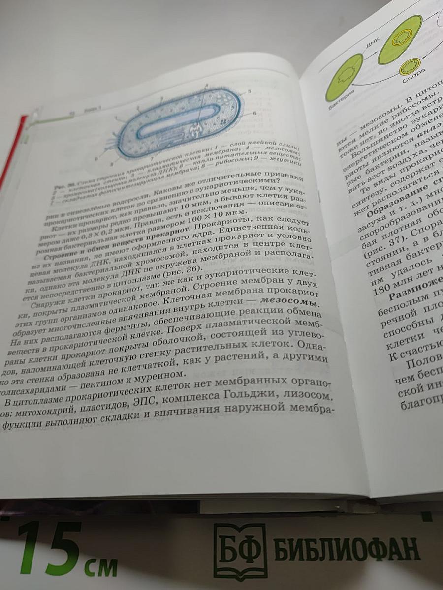 Биология. Общая биология. 10-11 классы. Базовый уровень